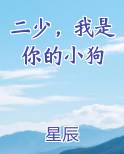 二少,我是你的小狗小说