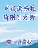 司岚全名
