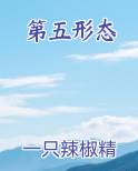 第五形态