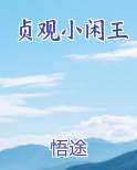 贞观小闲王
