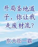 开局圣地道子，你让我走废材流？笔趣阁免费阅读