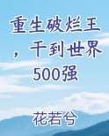 重生破烂王，干到世界500强