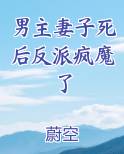 男主妻子死后反派疯魔了
