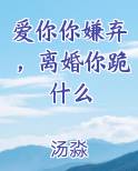 爱你你嫌弃，离婚你跪什么在线阅读全文