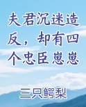 夫君沉迷造反，却有四个忠臣崽崽