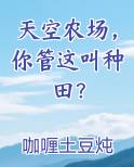 天空农场，你管这叫种田？最新