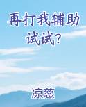 再打我辅助试试？