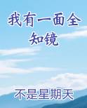 我有一面全知镜免费听书