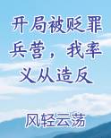 开局被篡诏夺位