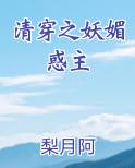 清穿之妖媚惑主类似小说