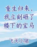 重生归来，我立刻砸了楼下的宝马小说推荐
